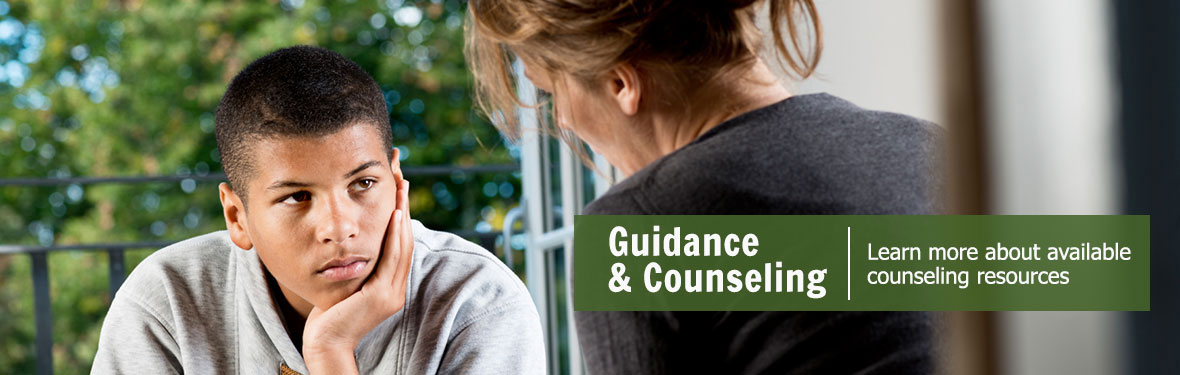 Guidance and Counseling: Learn more about available counseling resources