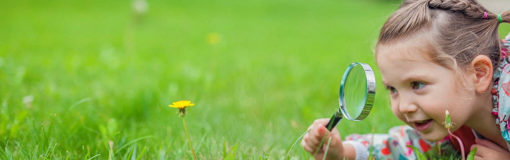 Girl with magnifying glass looking at dandelion