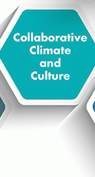 Collaborative Climate and Culture Button