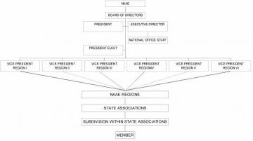 NAAE Organizational Chart