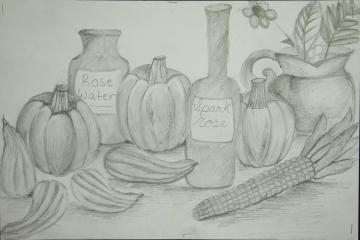 A pencil still-life of pumpkins, other gourds, and large bottles by Sanyah