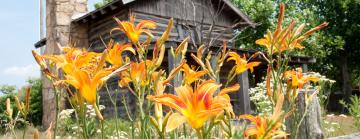 Sample image slide 2