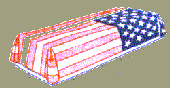 U.S. Flag Over Coffin